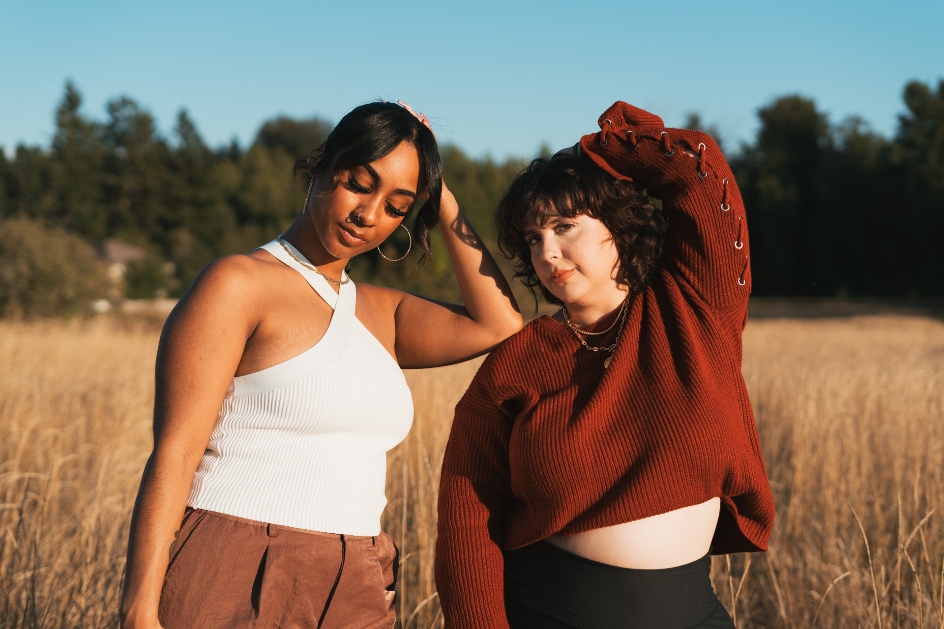 Models in a field